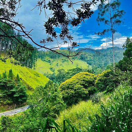 Pineview Lodge Ella Ngoại thất bức ảnh