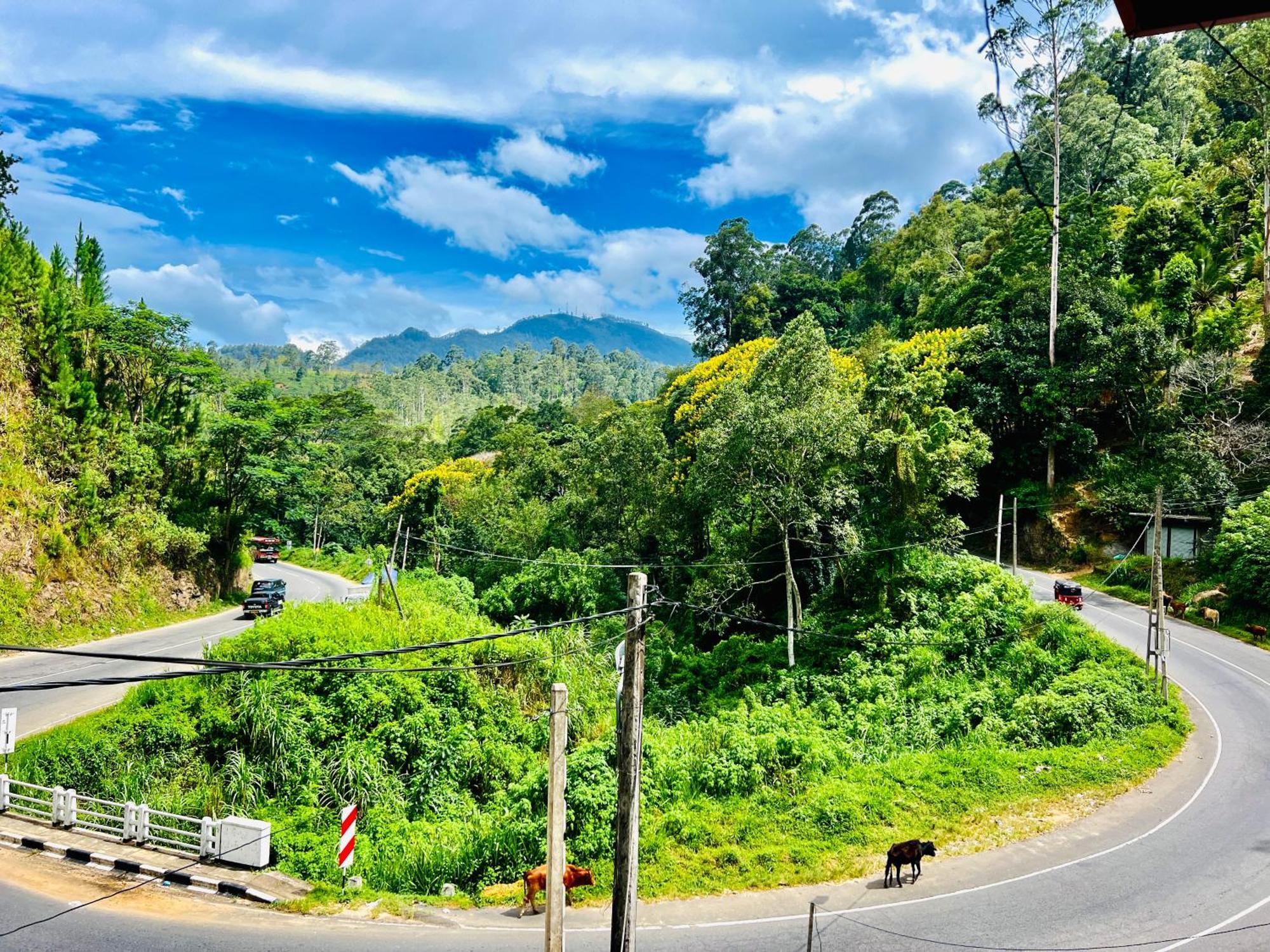 Pineview Lodge Ella Ngoại thất bức ảnh